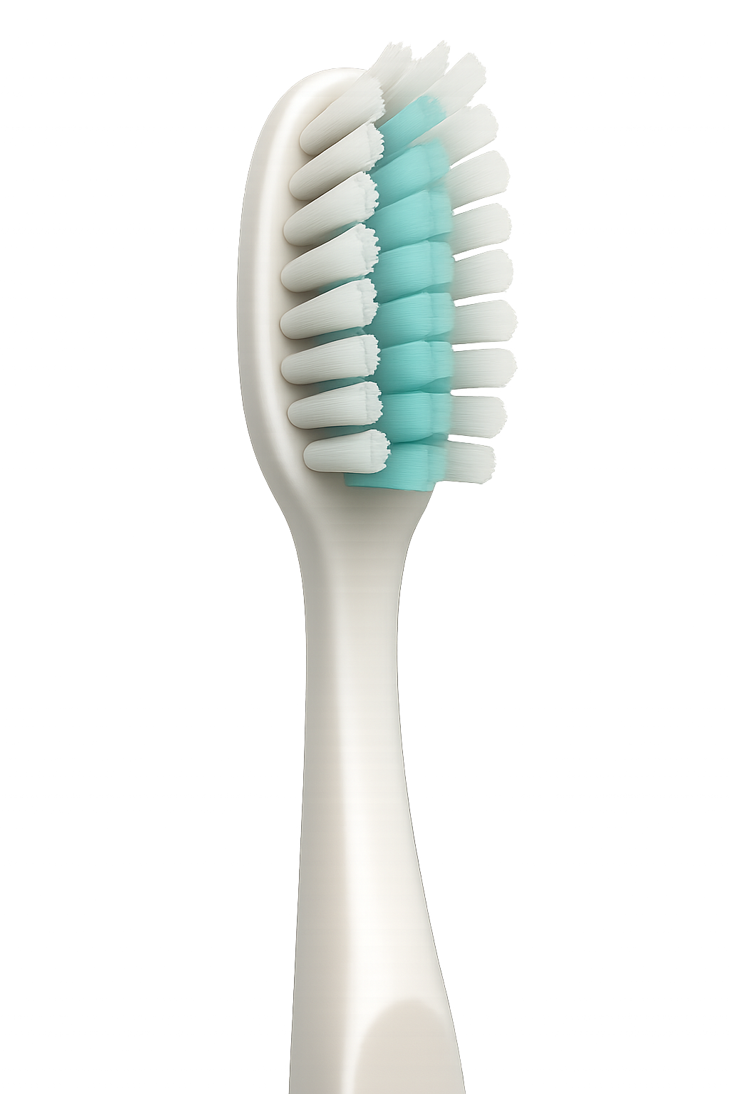 Après GlowBrush – Brosse à dents parfaitement désinfectée Brosse à dents propre et stérilisée – Après GlowBrush