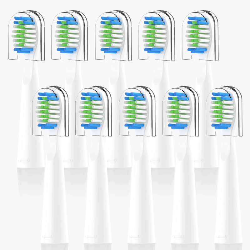 Brossettes de rechange — changer de tête de brosse tous les 3 mois