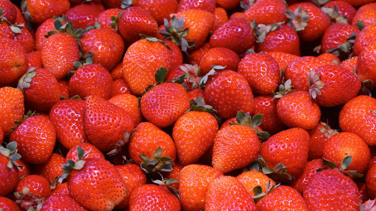 Fraises rouges mûres pour astuce de blanchiment des dents