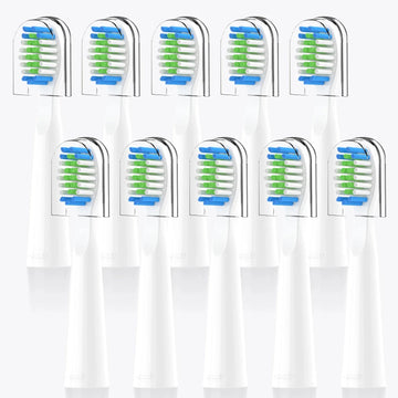Ersatzbürstenköpfe x10 für E11 & D7