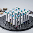 Brossettes compatibles Oral-B nettoyage quotidien — sur une ardoise noire humide, galets et lavande