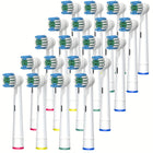 Vingt brossettes rondes compatibles Oral-B, filaments bleus, verts et blancs, bagues de couleur à la base