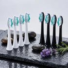 Testine compatibili Sonicare tipo DiamondClean — su ardesia nera bagnata con ciottoli e lavanda