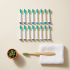 Testine compatibili Sonicare, scorta famiglia — vista dall'alto su fondo crema, composizione minimalista